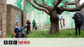 Banksy: Artist confirms new London tree mural is his own work | BBC News