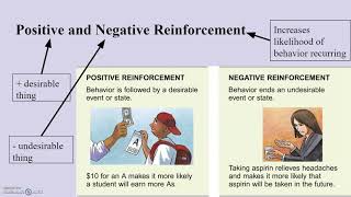 Psychology 1 - 3B (Punishment & Reinforcement)
