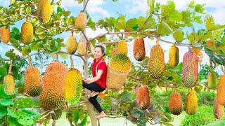 Harvest Super big Sea Pineapple Go to the market sell - Greening my small Farm | Phuong - Harvesting