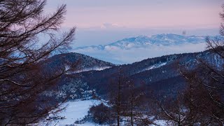 [アルペンスキー] 2022.2.11 学生チャンピオン大会男女SL All Japan Intercollegiate Alpine Championships SL