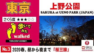 2020上野公園の桜を見る。 cherry blossoms at 2020 Ueno Park.