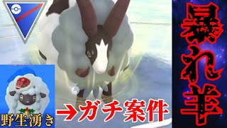 【有能】バイウールーが想像以上のガチポケで引き先に優秀？！いま野生湧きマジでガチでっとけ！！【GBL】【スーパーリーグ】