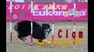 ２０１７エクストリーム決勝大会