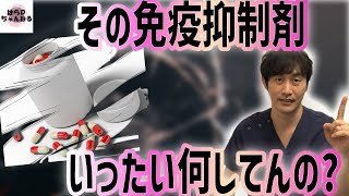 【はらD復活!!】免疫抑制剤はターゲットと機序を理解すれば楽しくなってくる!!