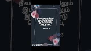 நீ வலதுபுறத்திலும் இடதுபுறத்திலும் இடங்கொண்டு பெருகுவாய்!!         @israel🕊ministries