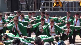 名古屋学生チーム『鯱』（浜松がんこ祭り2013　１日目東街区会場）