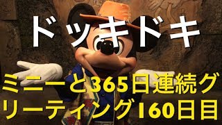 ミニーと365日連続グリーティング160日目〜ドッキドキ〜 my Disney tour day 160 I meet minnie mouse