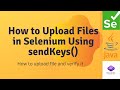 How to Upload Files in Selenium Using sendKeys() – Easy Tutorial