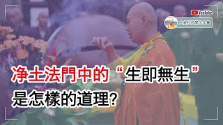 净土法门中的“生即无生”是怎样的道理？【大安法师开示】