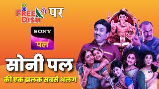 Sony Pal DD Free Dish Par 1 April 2025 Se! | Full Schedule \u0026 Channel Number