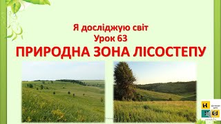 ЯДС урок 63 ПРИРОДНА ЗОНА ЛІСОСТЕПУ до підручника І.Жаркової