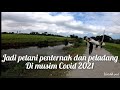 Rutin harian sebagai penternak itik telur / lembu / rusa /arnab pedaging / kambing dll...