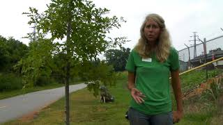 Pruning: Why, What, When Informational Video