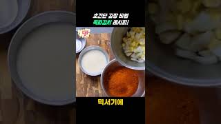 참 쉽고 간단한 김장 비법~ 쪽파김치 만들기! #쪽파김치 #쪽파 #김치 #레시피 #shorts