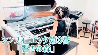 シンフォニエッタ第3番「響きの森」　YEF2024 グランドファイナル