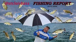 __St Clair Bass Fishing Report #4 05 22 2026