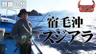 【新作特別公開】宿毛湾でロックフィッシュ界最高峰ターゲット・スジアラを狙う！ 『Rock'n Fish 102』【釣りビジョン】