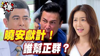 《多情大爆爆》多情城市 EP400 曉安獻計！ 誰幫正群？