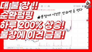 알트코인 대불장 !! 이미 시작했는데~