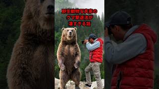 野生動物写真家のスゴすぎるクマ撃退法#shorts #野生動物 #実話