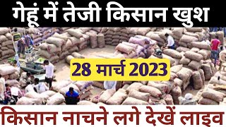 गेहूँ का भाव 28 मार्च 2023 | गेहूँ के भाव में तूफानी तेजी देखें भाव, Gehu ka Bhav,Wheat rate today