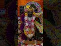 tere charano se lipat jate hain krishna radharani radheshayambhakti shortsfeed socialcontent