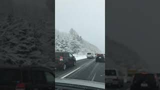 雪　ホワイトアウト　渋滞　事故