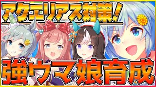 【ウマ娘】新アクエリアス杯対策会議！今日こそは完成するよね・・・/アグネスデジタル/セイウンスカイ/ホッコータルマエ/アクエリアス杯/育成/チャンピオンズミーティング/配信【うまむすめ】