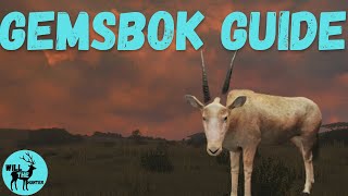 Vurhonga Savanna Gemsbok Guide + A Rare Gold Gemsbok! TheHunter Call Of The Wild 2023