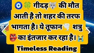 🧿🍀 गीदड़🐺 की मौत आती है तो शहर की तरफ भागता है। ये तूफान🌪️ शत्रु 👺का इंतजार कर रहा है।😭