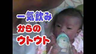 新生児！ミルク一気飲みからのウトウト【じゃがチャン#006】