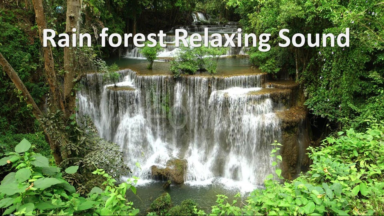 Relaxing Rain Forest Sound Yoga Music Meditation Music Waterfall
