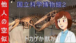 【国立科学博物館２（地球館）】