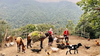 Crafting a Handmade Broom \u0026 Cooking Wild Herb Frittata in the Village