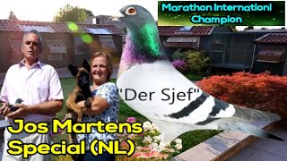 Jos and Jacqueline Martens (NL) International Marathon winners