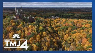 Ode to Fall: Nature's Symphony of Color