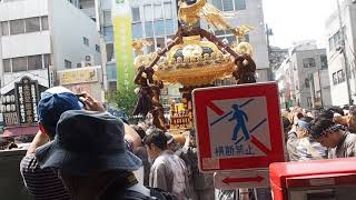 深川八幡祭（水掛け祭り）　富岡八幡宮　例祭　町内神輿渡御　2018.8.11