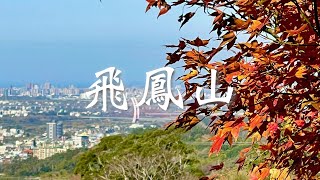 一日郊山 ｜ 飛鳳山 ｜ 新竹人最愛   飛鳳山、觀日坪、大板根步道 ｜ 2021-4-30