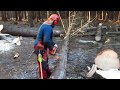 Lumberjack cuts dry trees! Super work with a chainsaw!