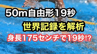 【水泳】50m自由形19秒の泳ぎを解析！！