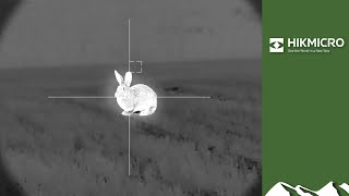 Thermal rabbiting with a rimfire