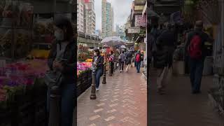 MONG KOK FLOWER MARKET Saturday Morning Walk | HDR 4K | Full video on @MyStrides