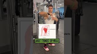The Best Rotator Cuff Exercises You Need to Know! 💪🏻👽 #shorts