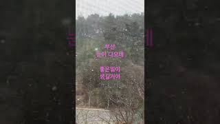 #부산에백만년만에눈이온다