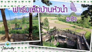 ฟาร์มเห็ดบ้านหัวน้ำ อำเภอปัว น่าน