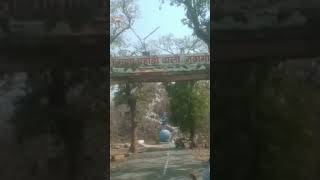 जय छछान माता नवागांव वाली