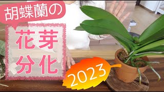 【ちょっと待った】冷やさなくちゃ！って思ってない？