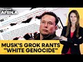 Musk's AI Grok Pushes 