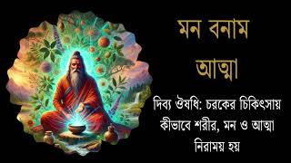 দিব্য ঔষধি: চরকের চিকিৎসায় কীভাবে শরীর, মন ও আত্মা নিরাময় হয়