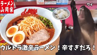 【山岡家】ウルトラ激辛ラーメンが辛すぎてライスをかき込んだ話【クセになる味】#猫ミーム #猫マニ